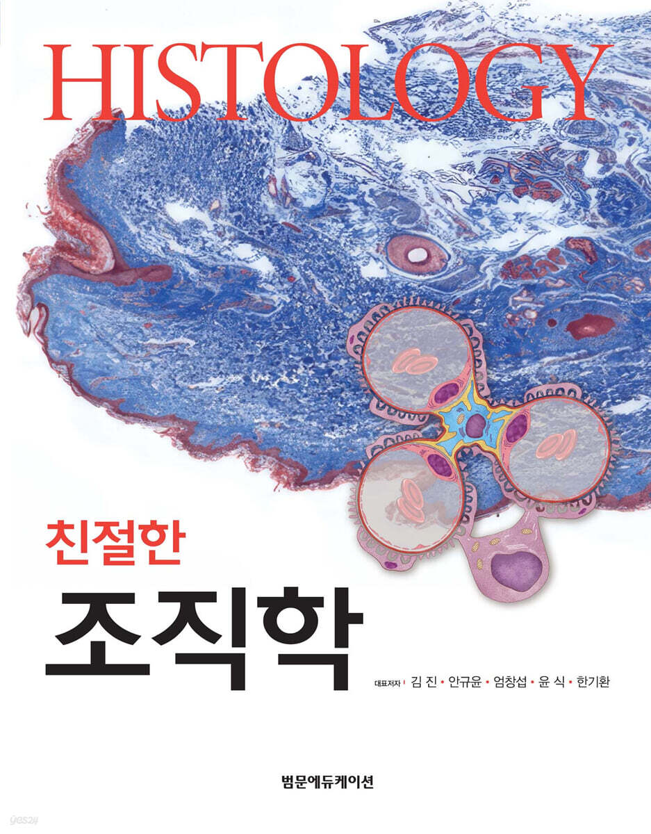 친절한 조직학