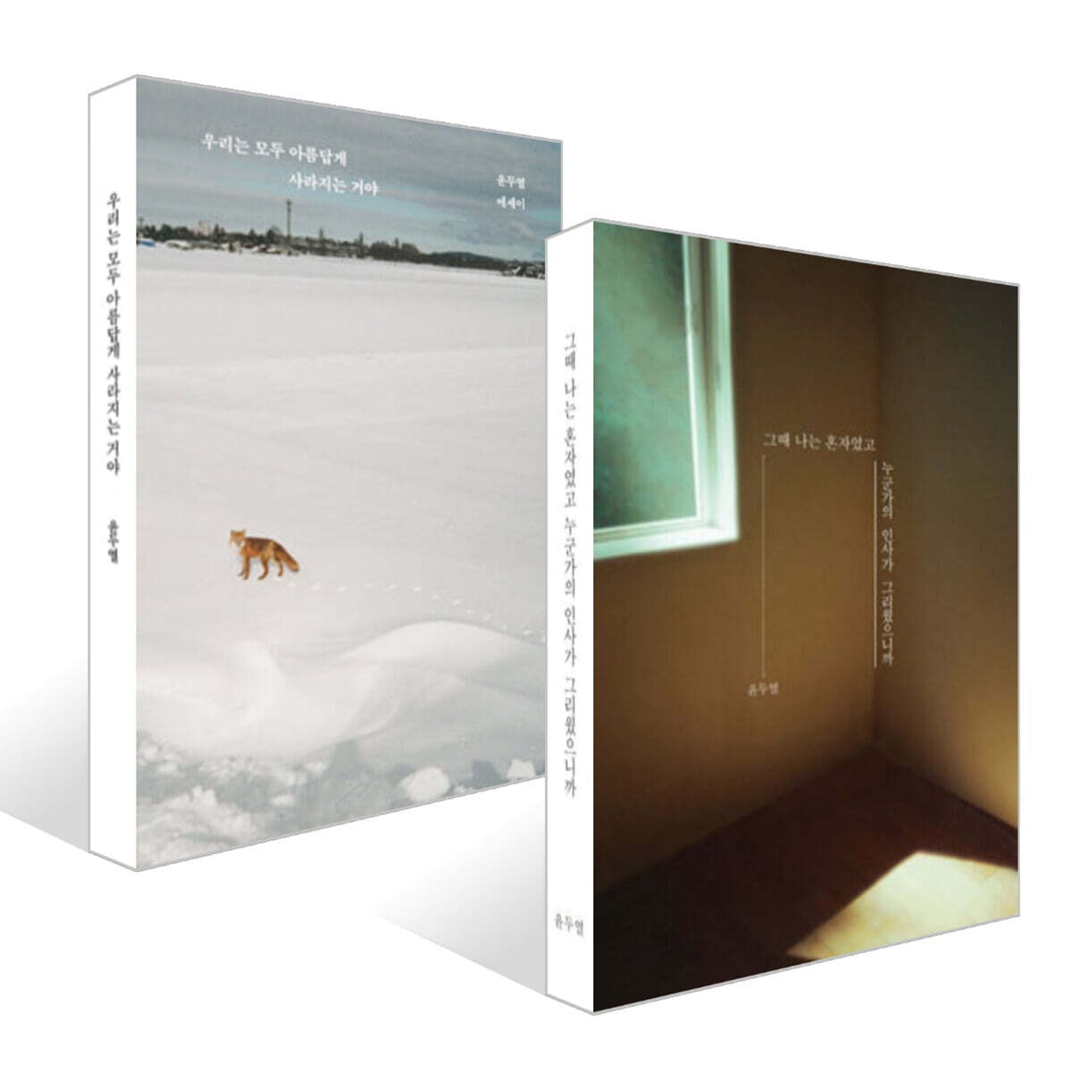 그때 나는 혼자였고 누군가의 인사가 그리웠으니까 + 우리는 모두 아름답게 사라지는 거야 세트