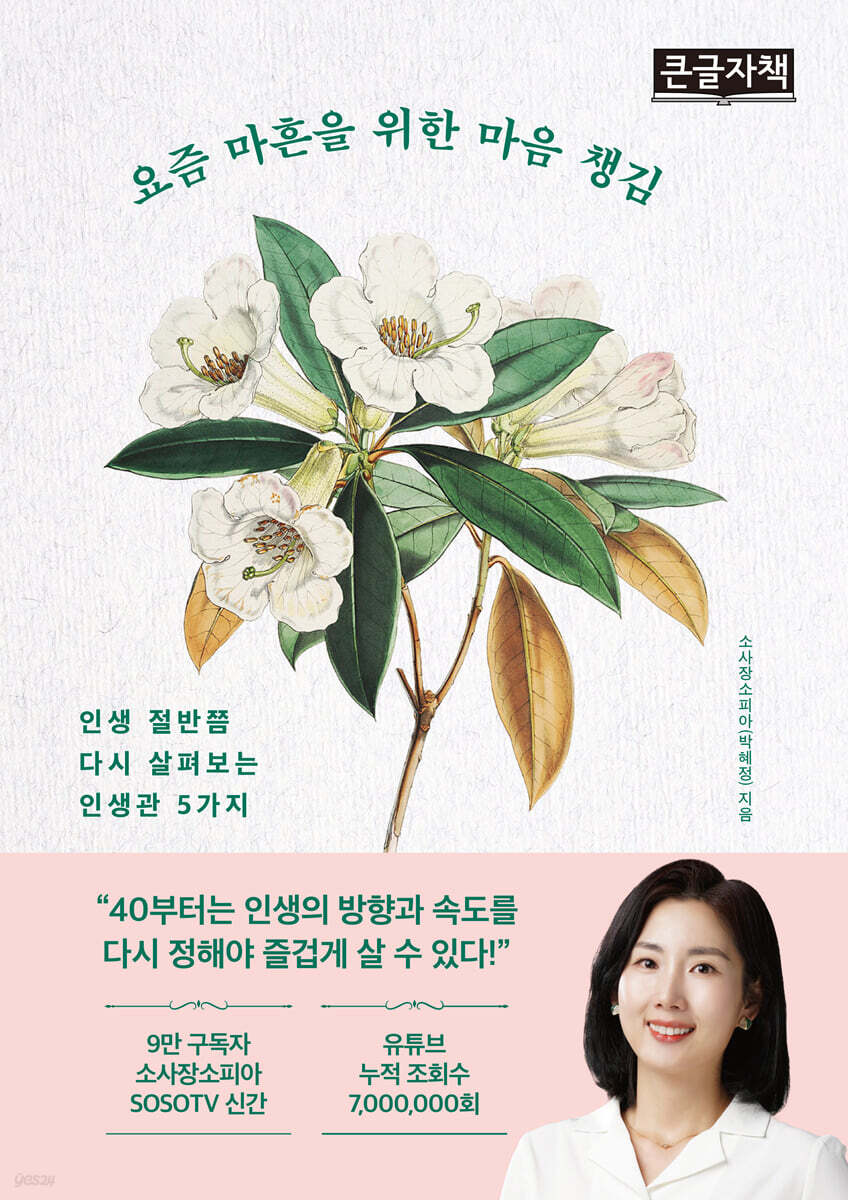 요즘 마흔을 위한 마음 챙김 (큰글자책)