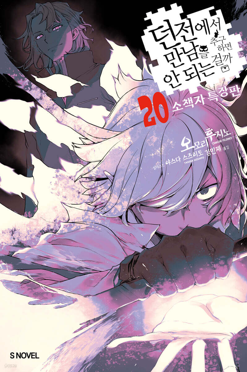 던전에서 만남을 추구하면 안 되는 걸까 20 소책자 특장판