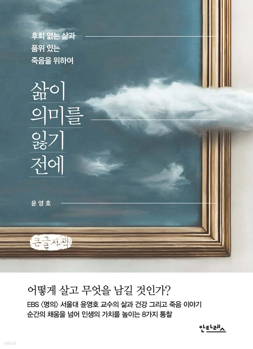 삶이 의미를 잃기 전에 (큰글자책)