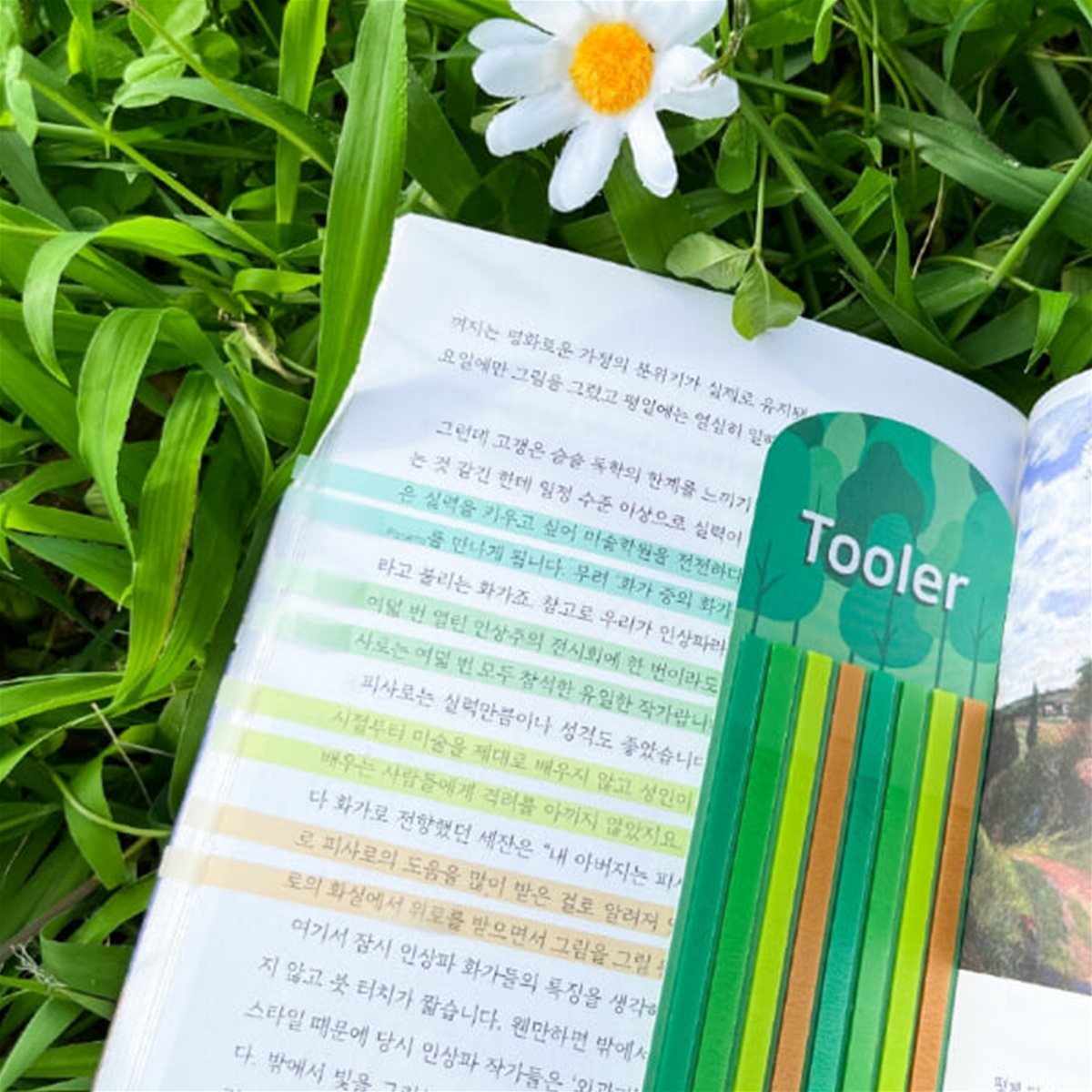 툴러 숲 롱 플래그