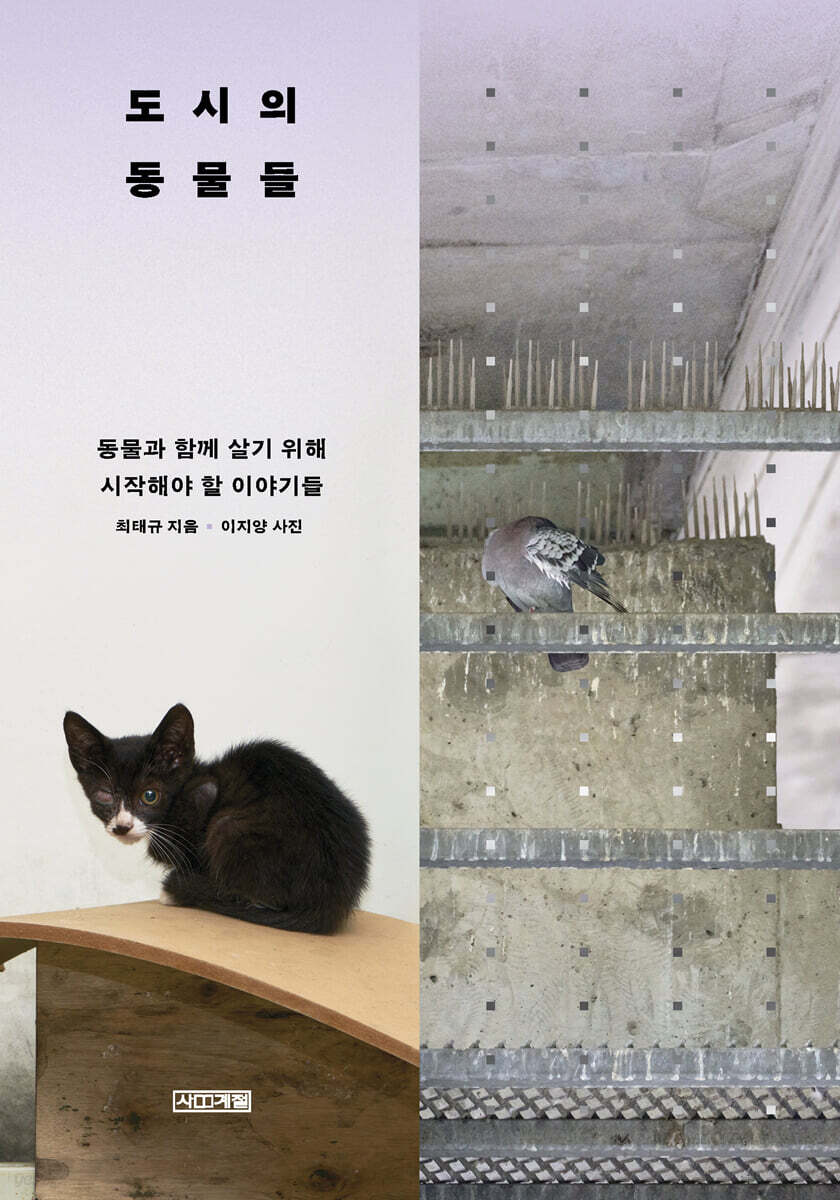 도시의 동물들
