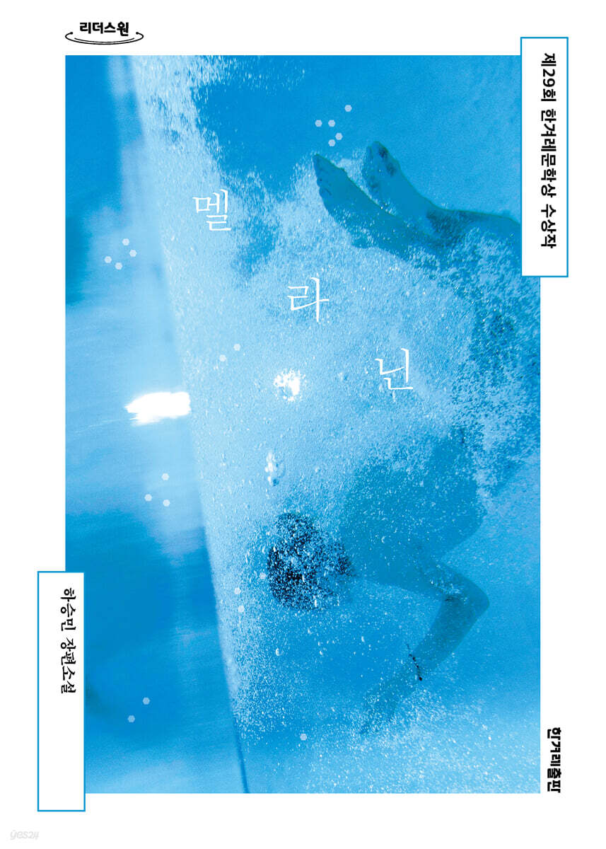 멜라닌 (큰글자도서)