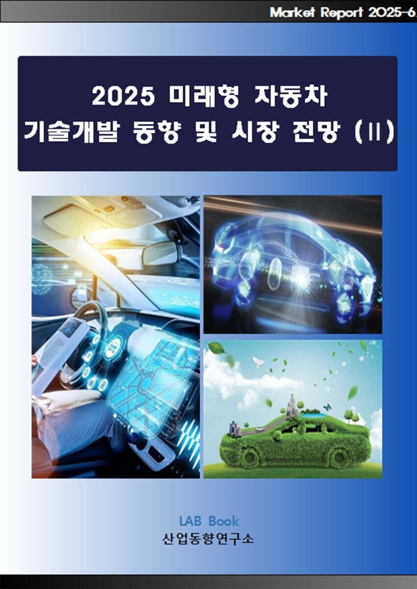 2025 미래형 자동차 기술개발 동향 및 시장 전망 (2)