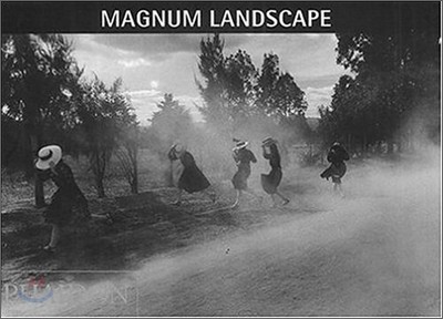 Magnum Landscape