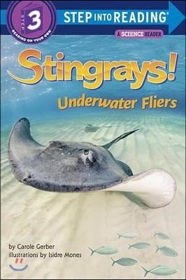 Step Into Reading 3 : Stingrays!: Underwater Fliers