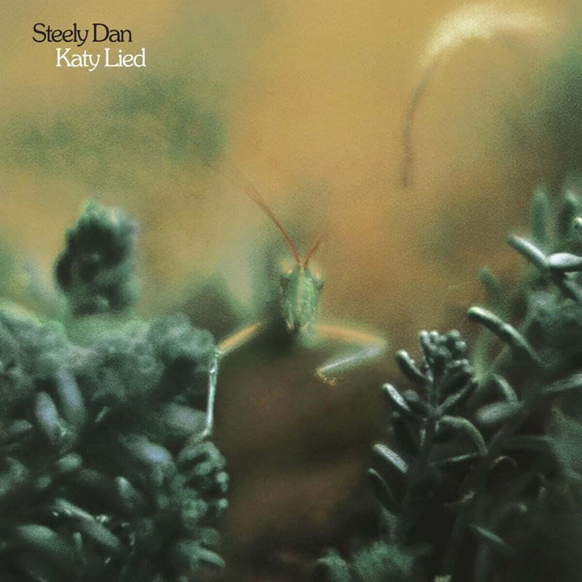 Steely Dan (스틸리 댄) - 4집 Katy Lied [SACD Hybrid]