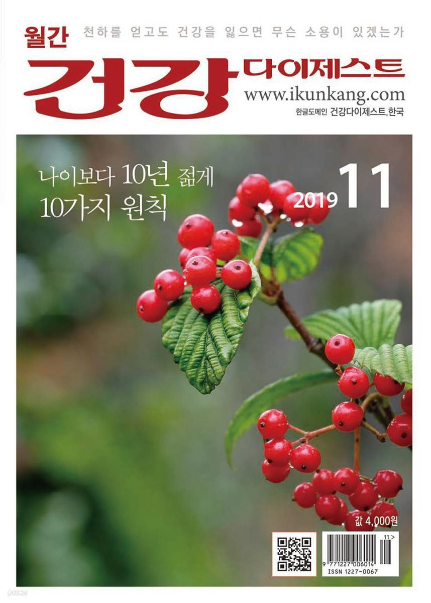 건강다이제스트 2019년 11월