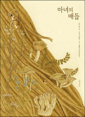 마녀의 매듭(양장본 Hardcover)