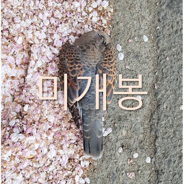 [미개봉] 천진우 - 귀천 (CD)