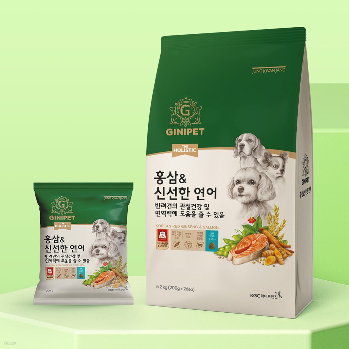 정관장 지니펫 홀리스틱 홍삼&신선한 연어 5.2kg