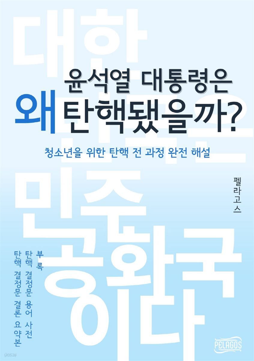 윤석열 대통령은 왜 탄핵됐을까?