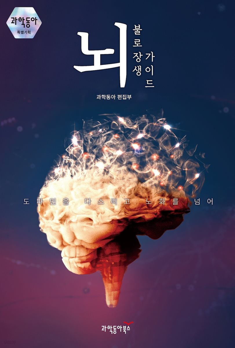 뇌 불로장생 가이드