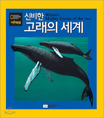 신비한 고래의 세계