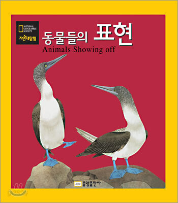 동물들의 표현