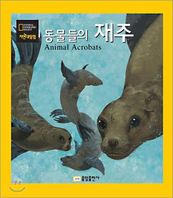 동물들의 재주