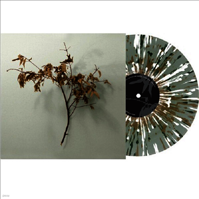 Copeland — In Motion (US Indie Exclusive) 앨범 커버