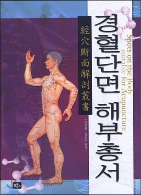 글로북스  경혈단면 해부총서 (양장)