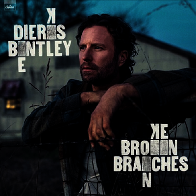 Dierks Bentley — Broken Branches 앨범 커버