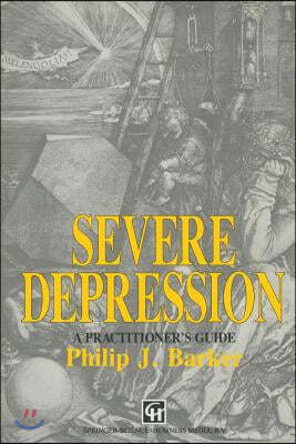 Severe Depression: A Practitioner S Guide