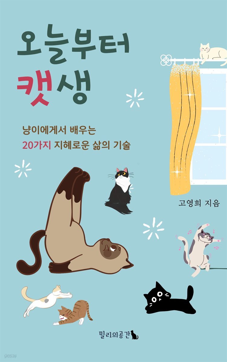 오늘부터 캣생