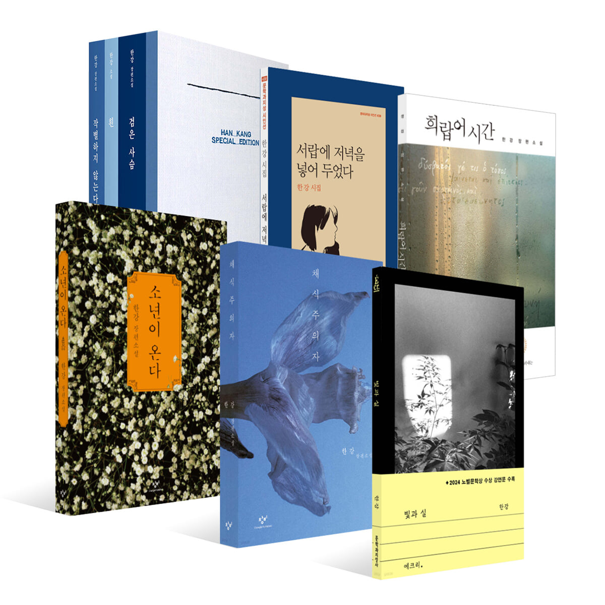 2024 노벨문학상 수상작가 한강 대표작 8종 세트