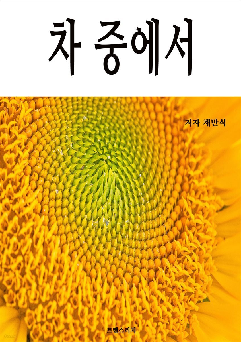 차 중에서