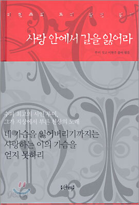 사랑 안에서 길을 잃어라