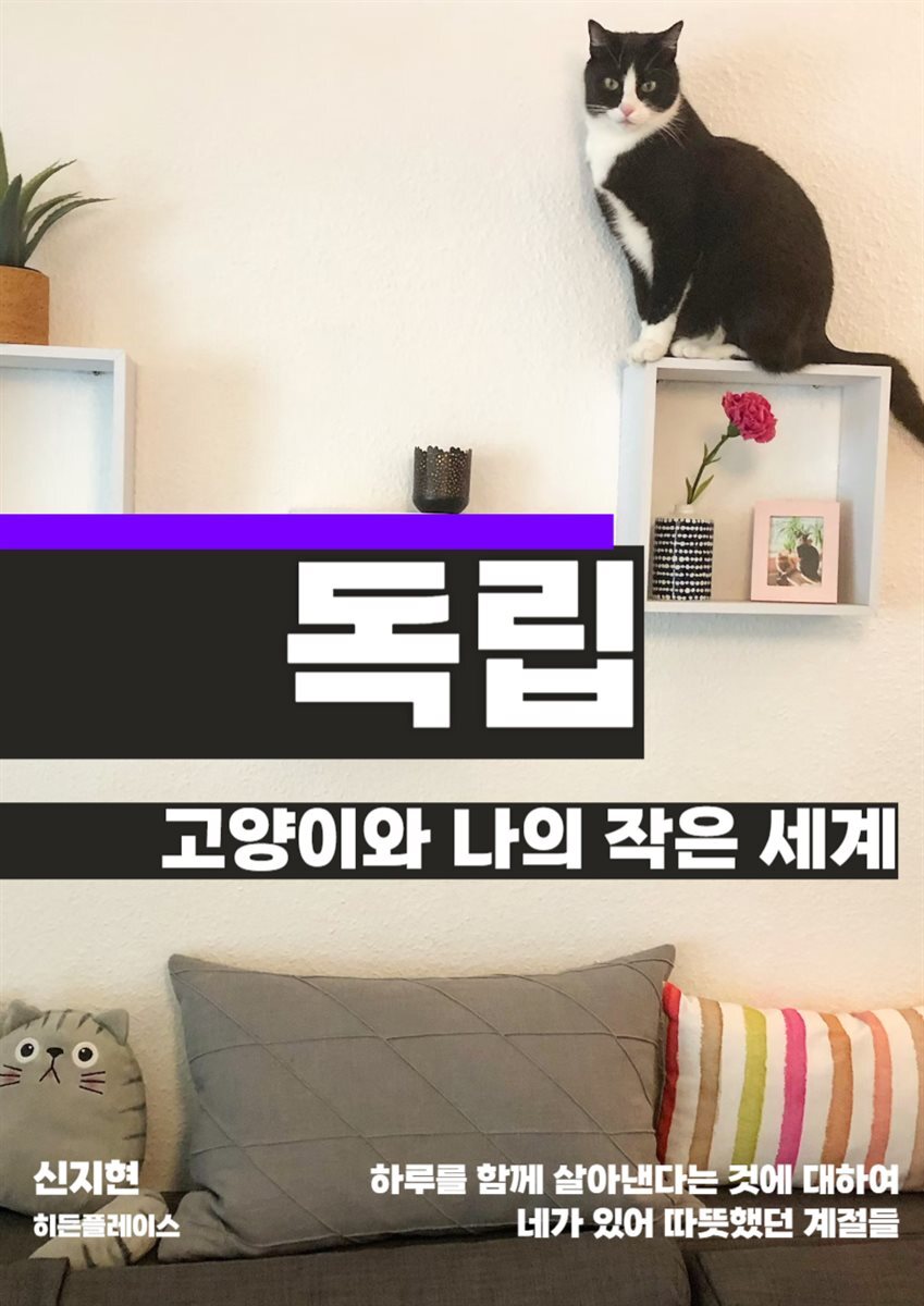 고양이와 나의 작은 세계