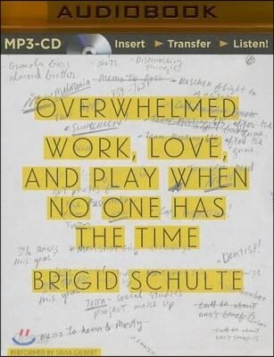 Overwhelmed: Work, Love, and Play When No One Has the Time
