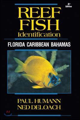 Reef Fish Identification: Florida Caribbean Bahamas