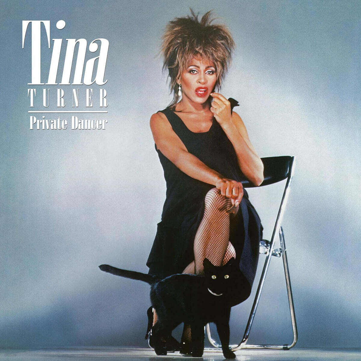 Tina Turner (티나 터너) - Private Dancer