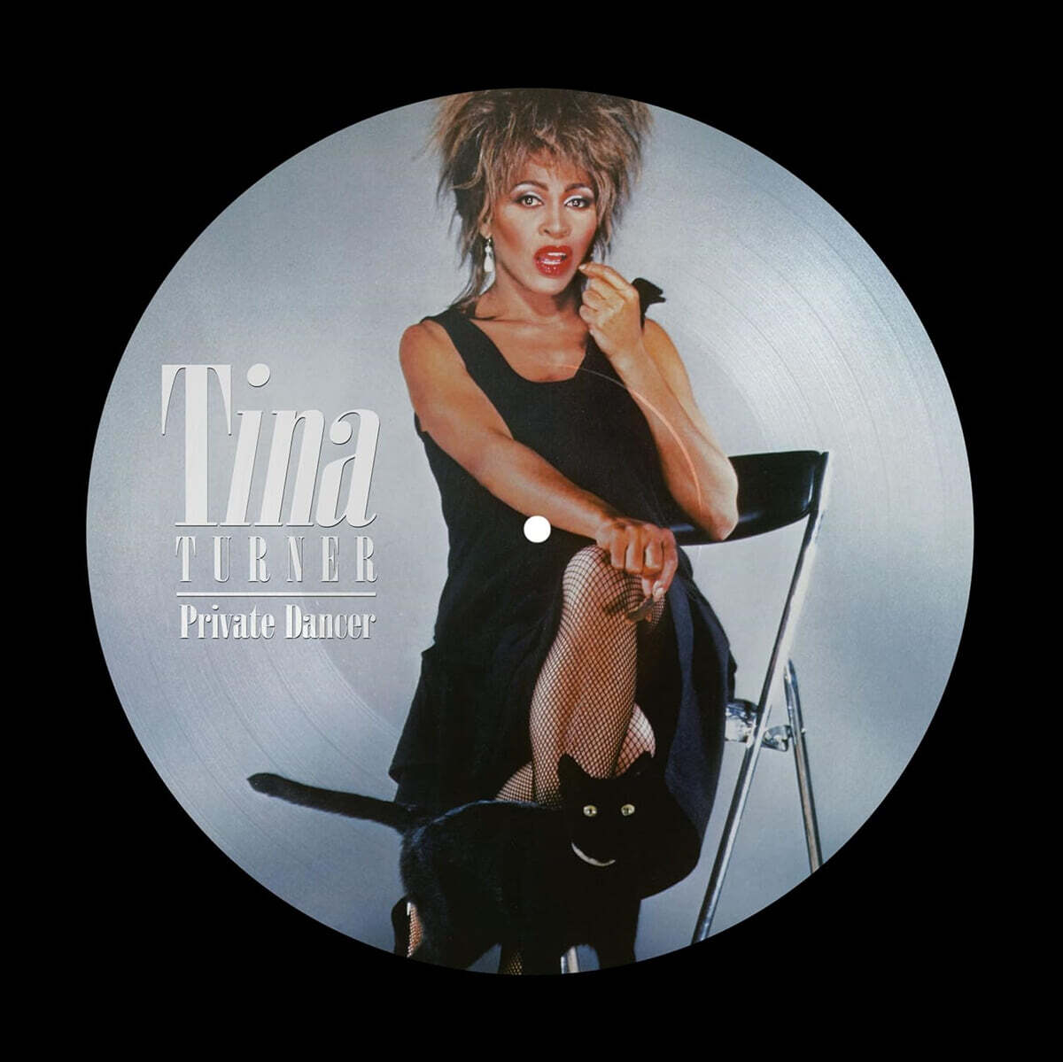 Tina Turner (티나 터너) - Private Dancer [픽쳐디스크 LP]
