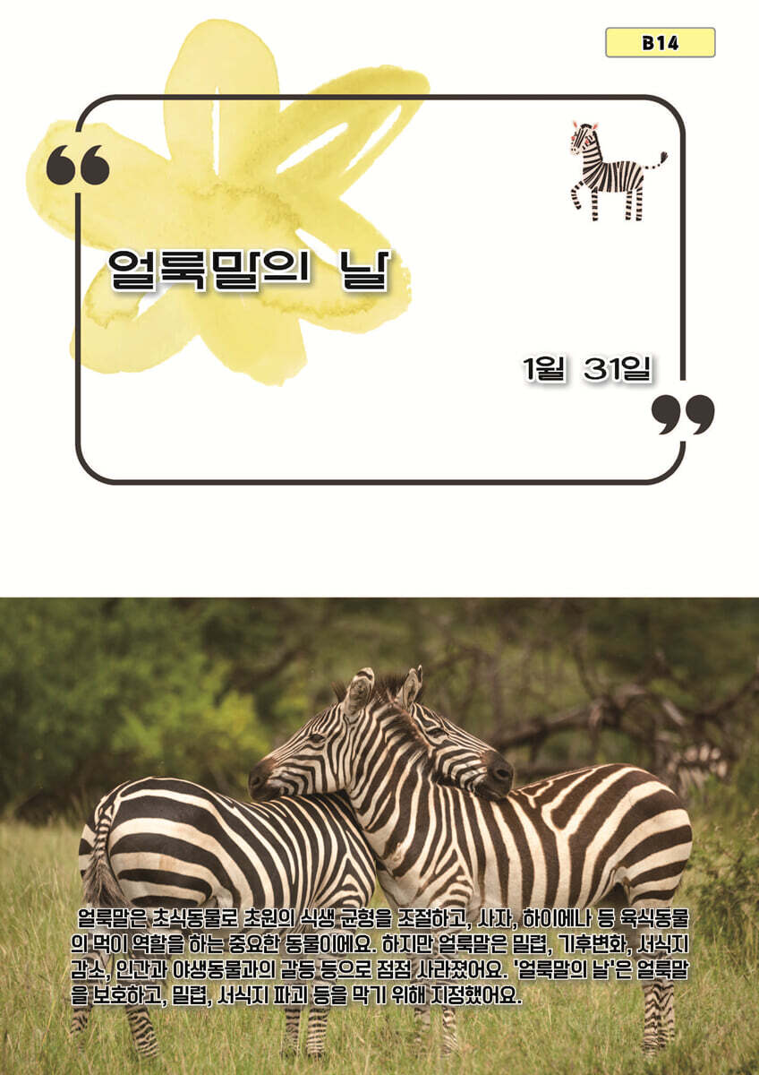 얼룩말의 날
