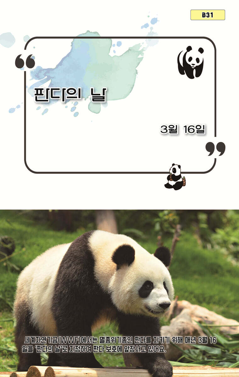 판다의 날