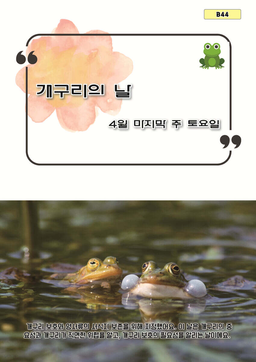 개구리의 날