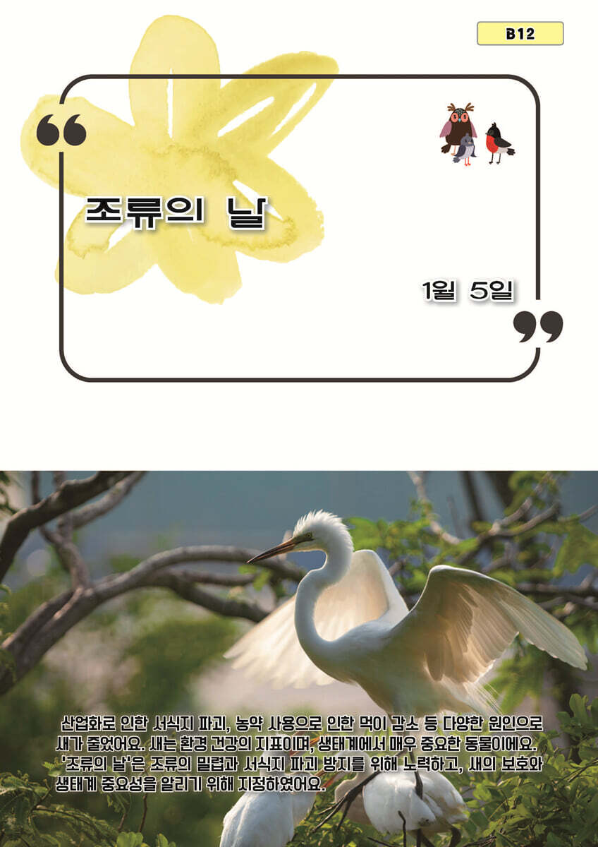 조류의 날