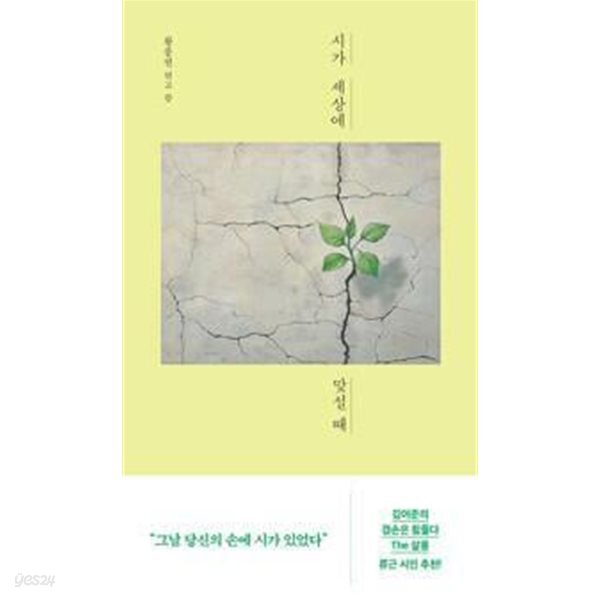 시가 세상에 맞설 때 /(황종권)