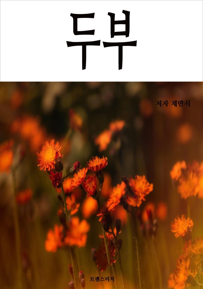 두부