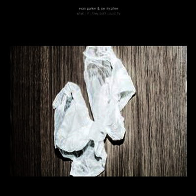 Evan Parker & Joe McPhee — What/If/They Both Could Fly 앨범 커버