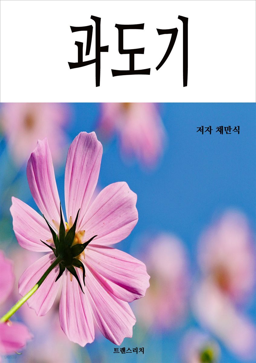 과도기