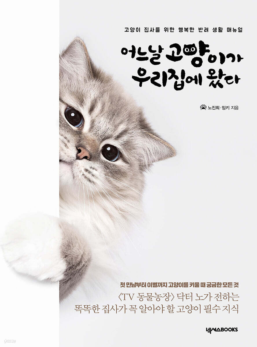 어느날 고양이가 우리집에 왔다