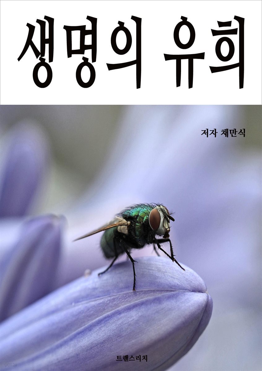 생명의 유희