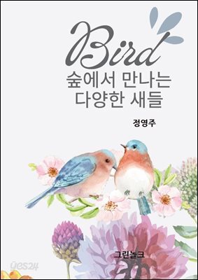 숲에서 만나는 다양한 새들