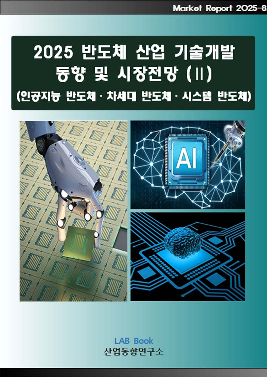 2025 반도체 산업 기술개발 동향 및 시장전망 (2)