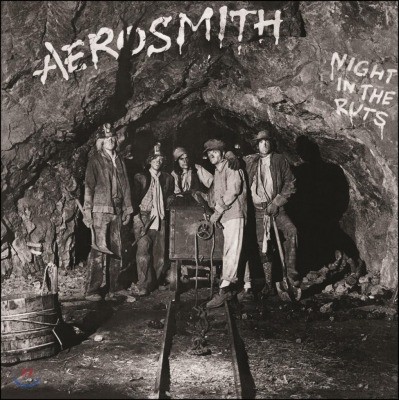 Aerosmith - Night In The Ruts (RSD 2014) (ڵ   2014 )