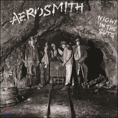 Aerosmith - Night In The Ruts (RSD 2014) (레코드 스토어 데이 2014 한정반)