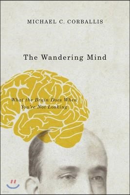 The Wandering Mind: What the Brain Does When You're Not Looking