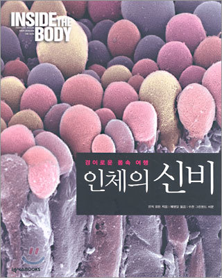 인체의 신비